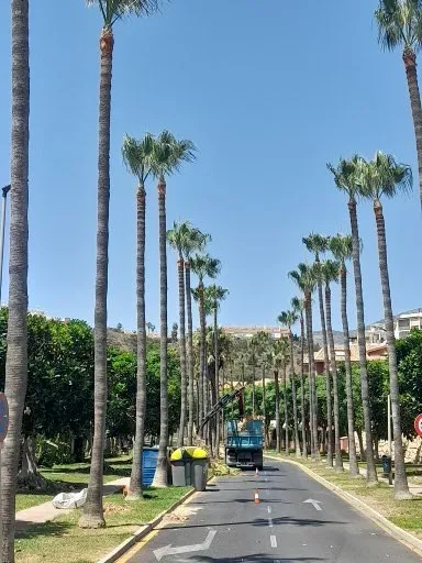 avenida-palmeras-benalmadena