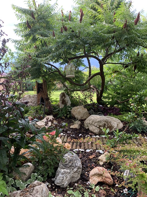 jardín con arboles